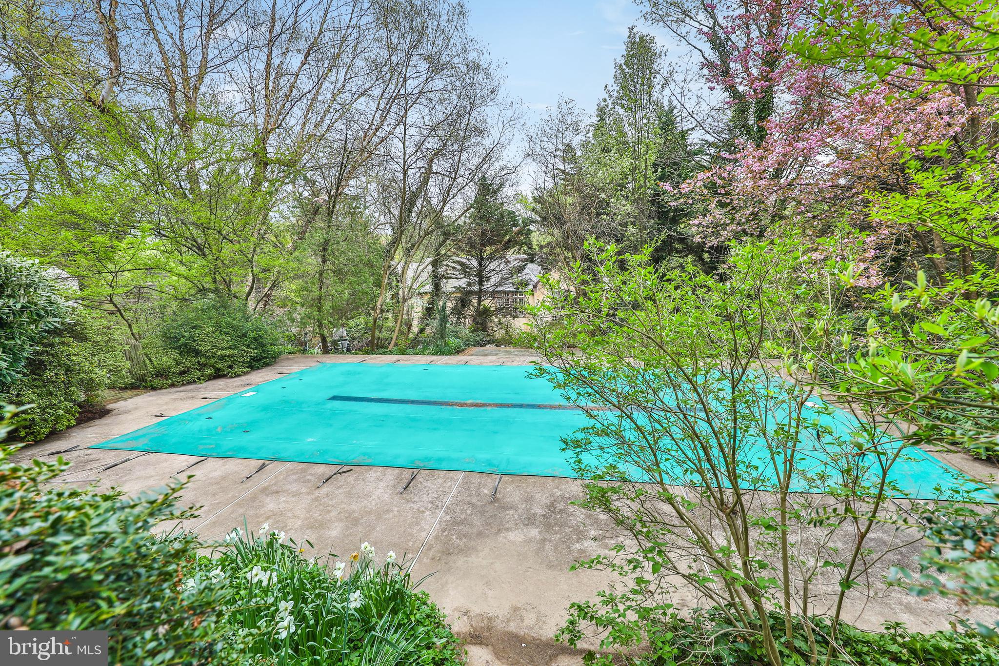 CHESTNUT HILL - Residential