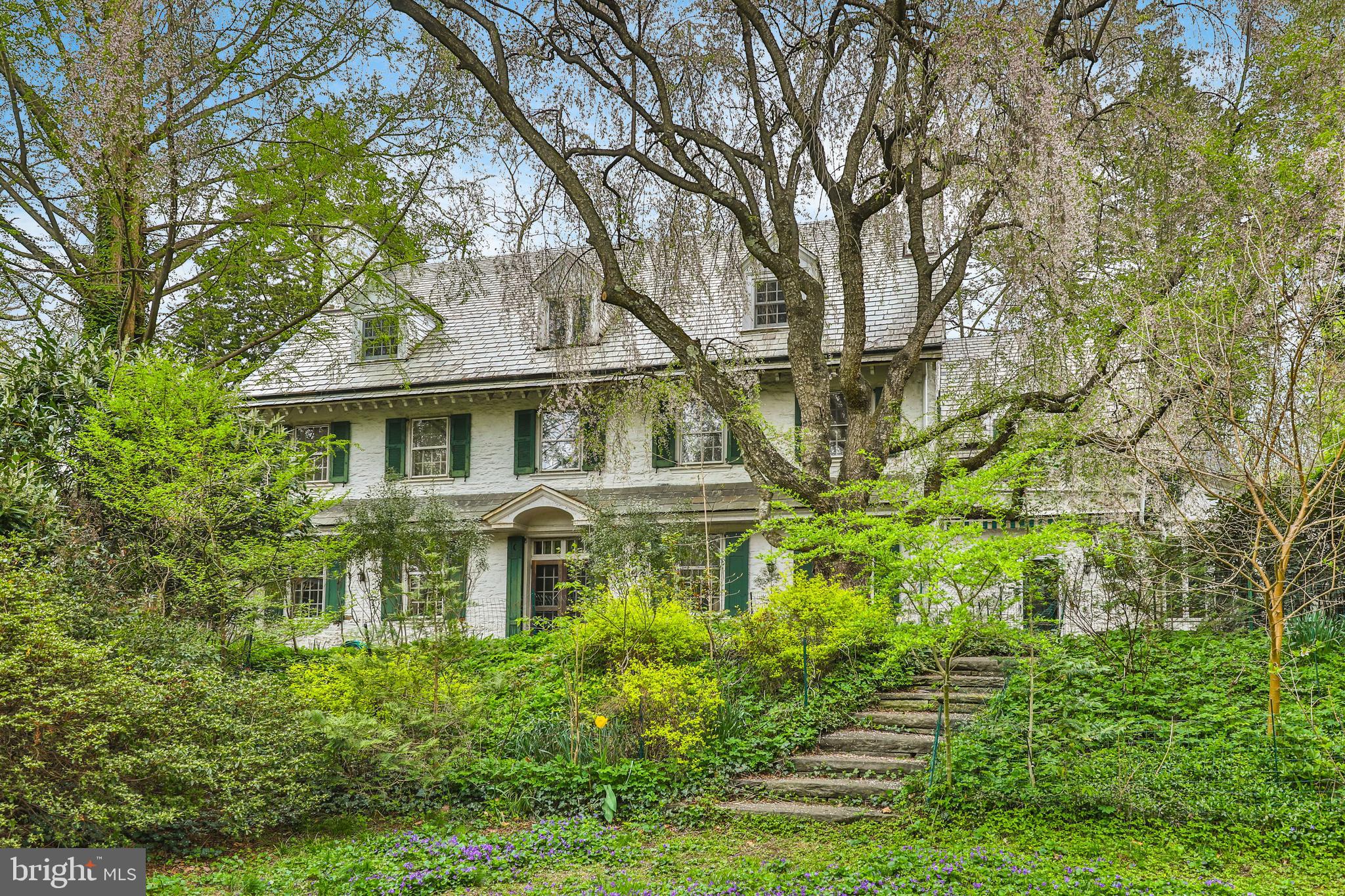 CHESTNUT HILL - Residential