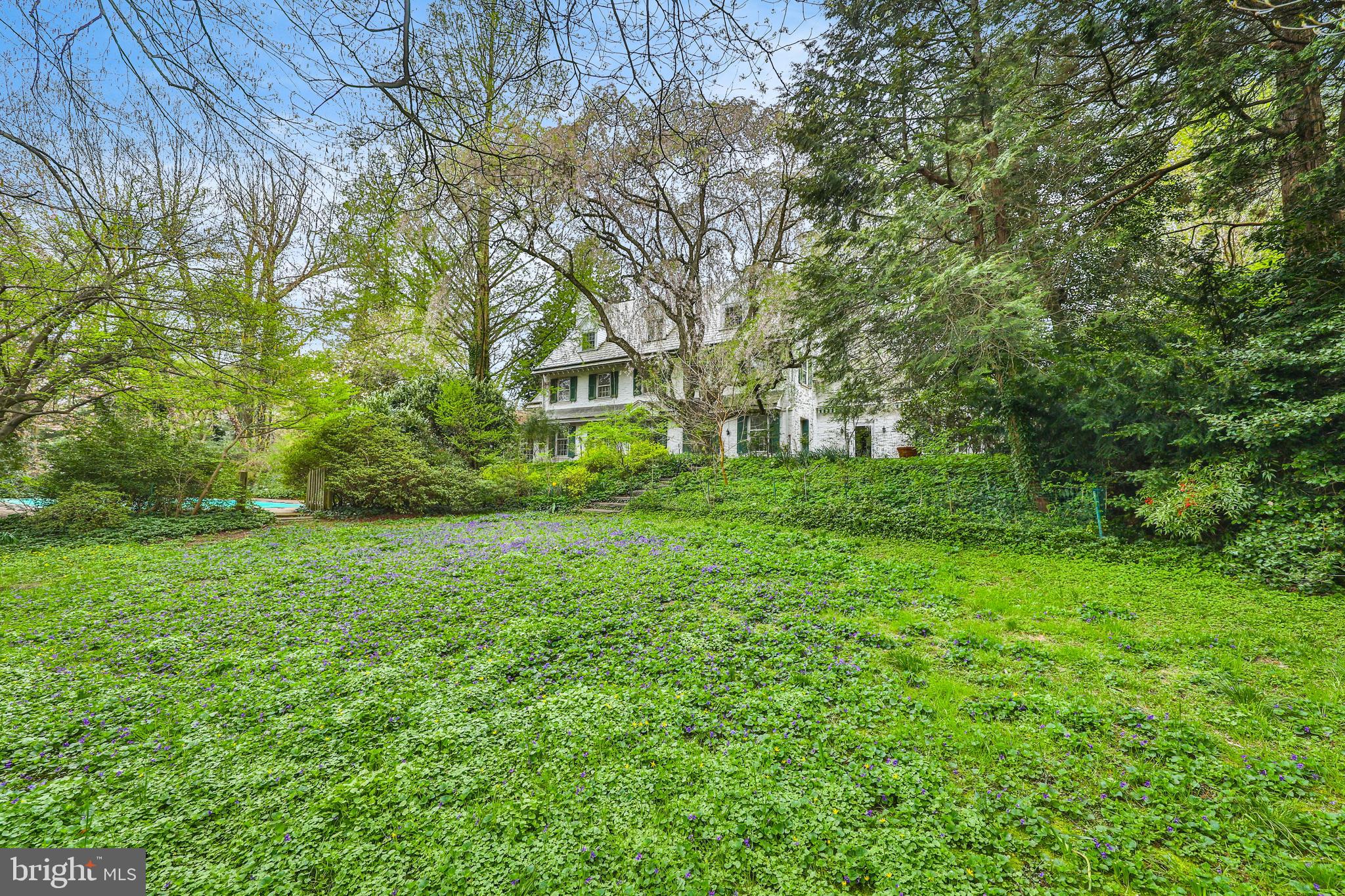 CHESTNUT HILL - Residential