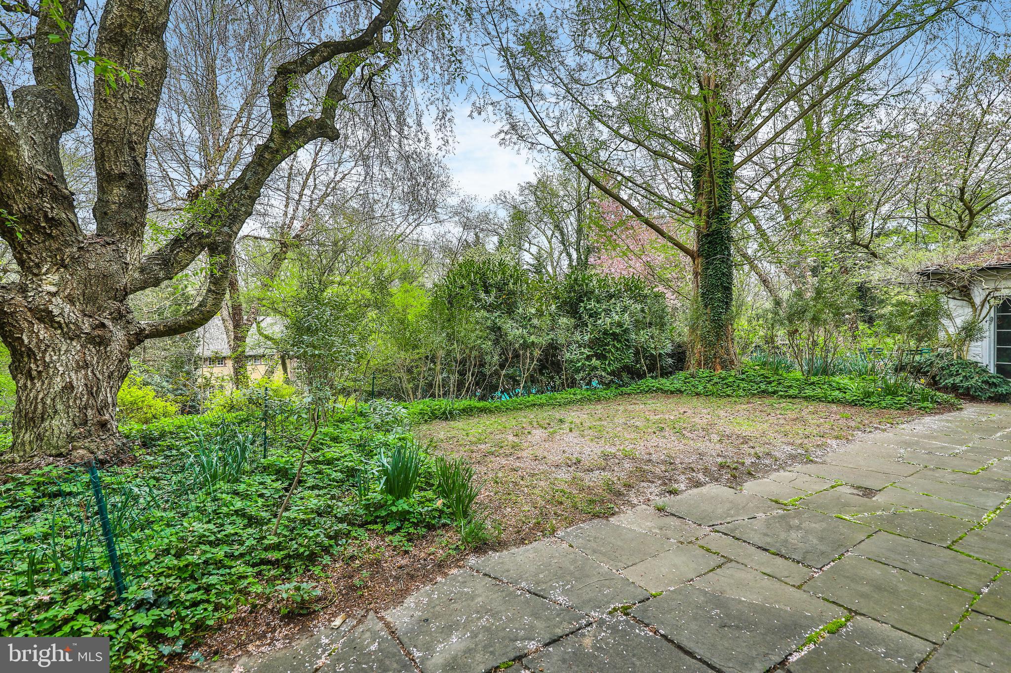 CHESTNUT HILL - Residential