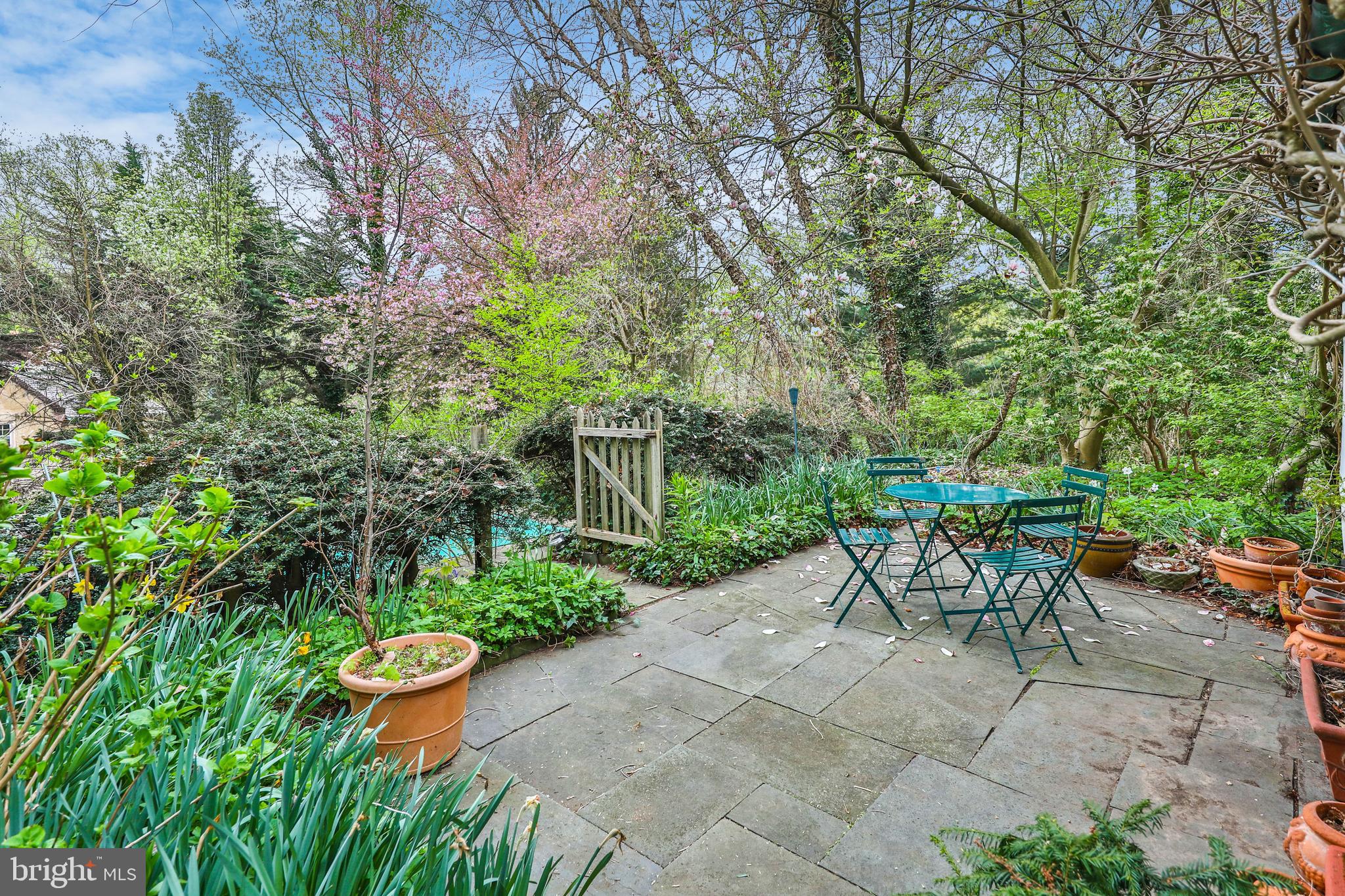 CHESTNUT HILL - Residential