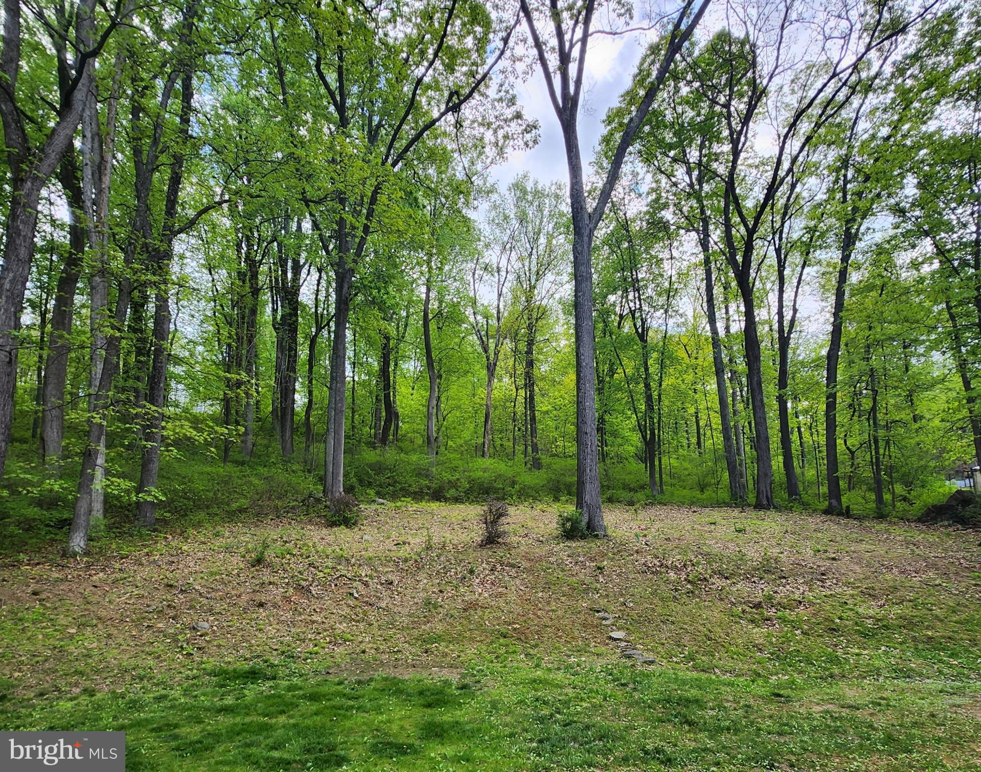 SKYLAND ESTATES - Residential