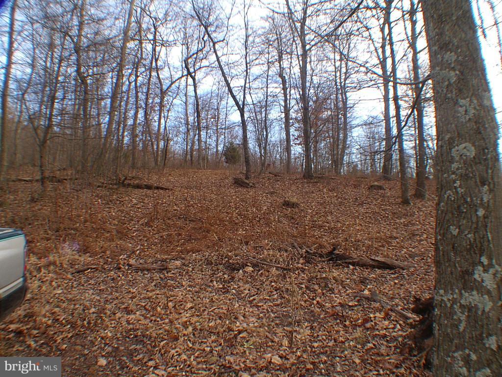 BRISTOL SPRINGS - Residential