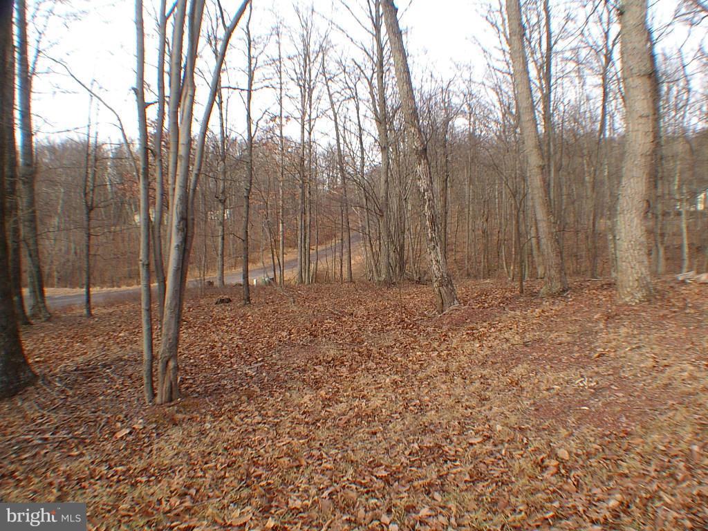 BRISTOL SPRINGS - Residential