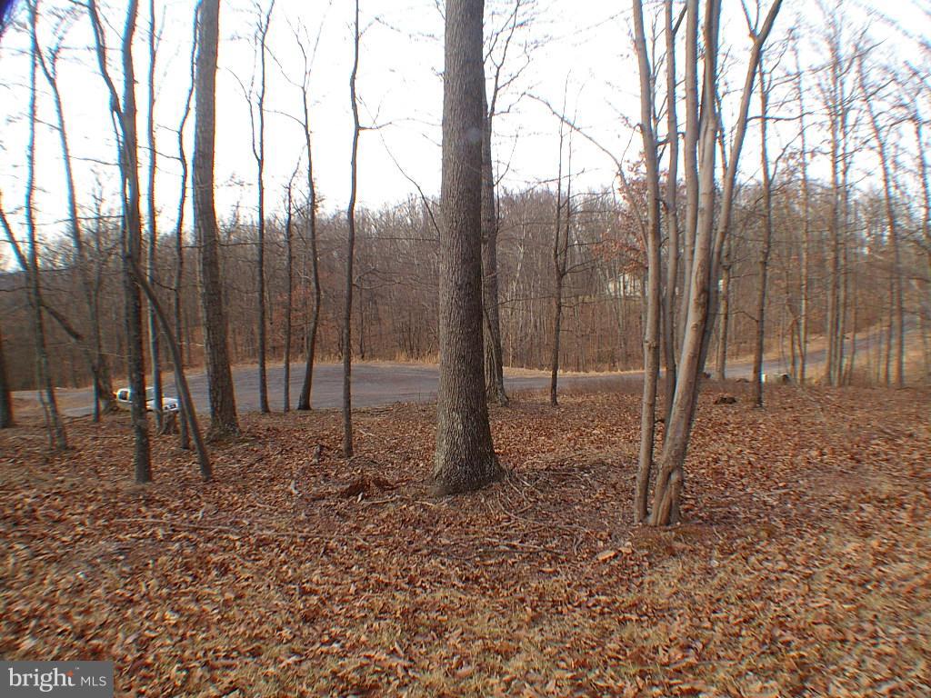 BRISTOL SPRINGS - Residential