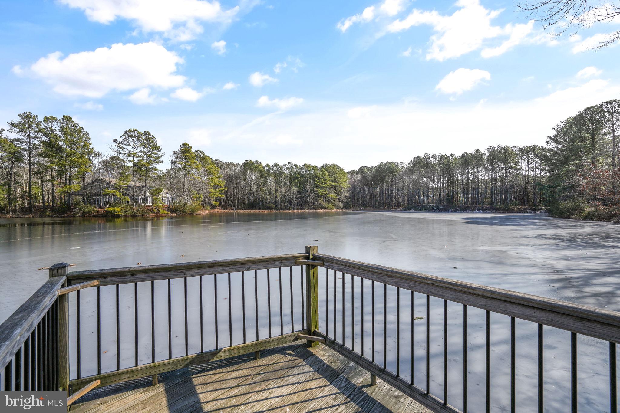 OCEAN PINES - THE PARKE - Residential