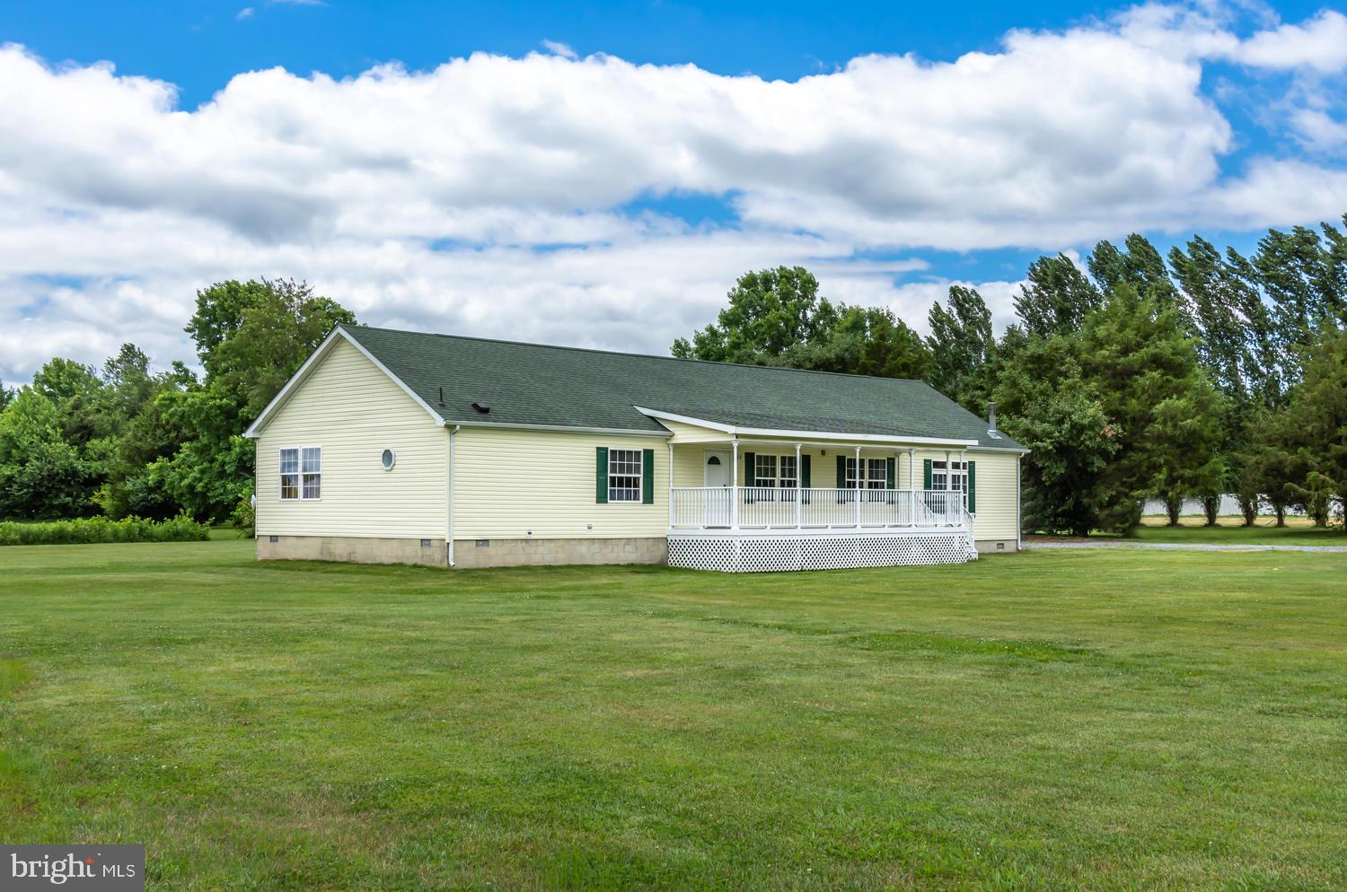 LUCKY SHOE RANCHETTES - Residential