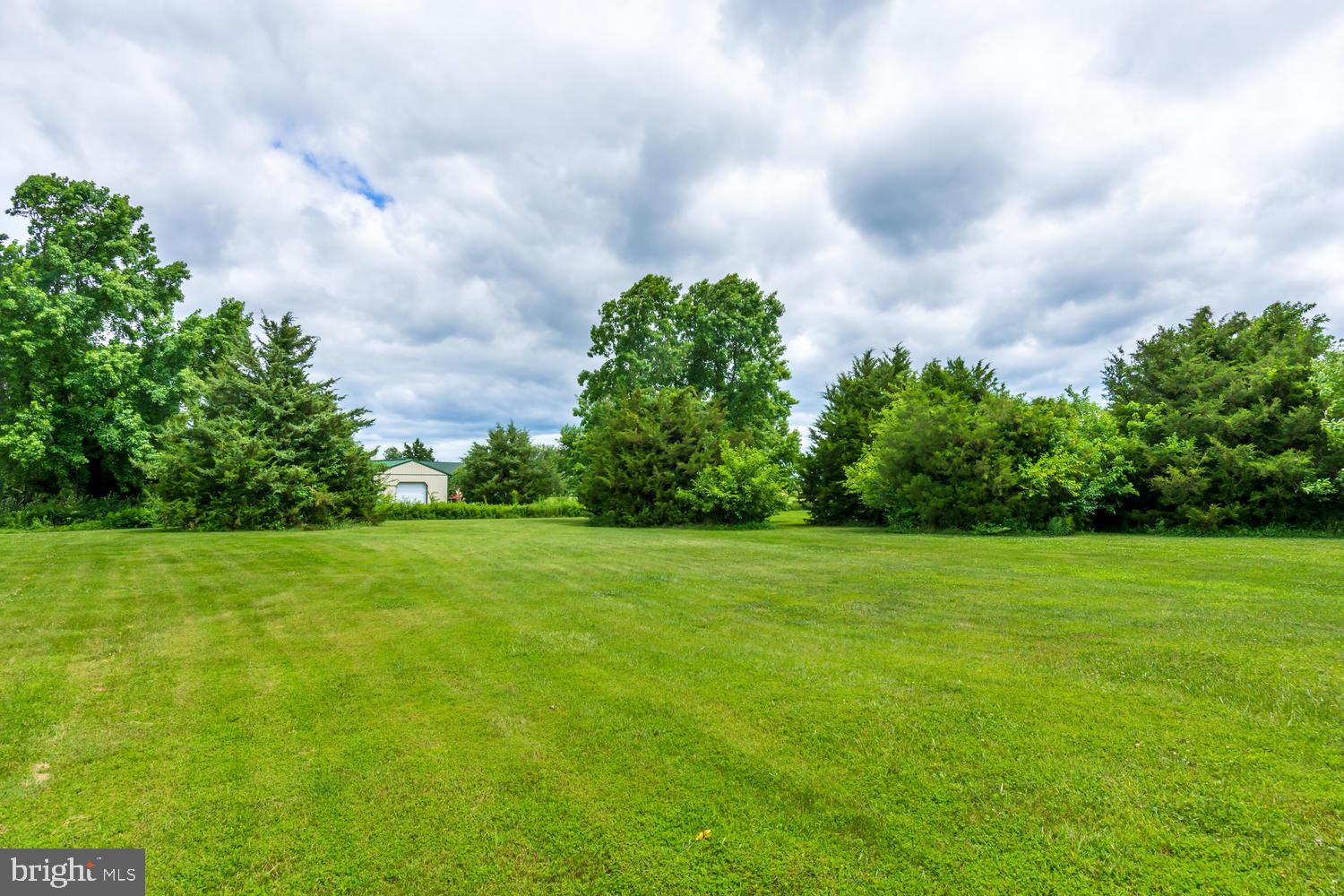 LUCKY SHOE RANCHETTES - Residential