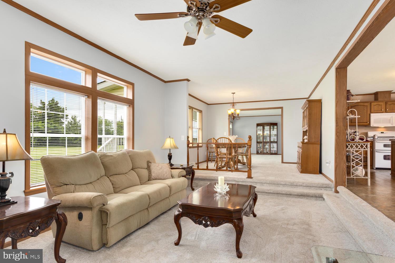 LUCKY SHOE RANCHETTES - Residential