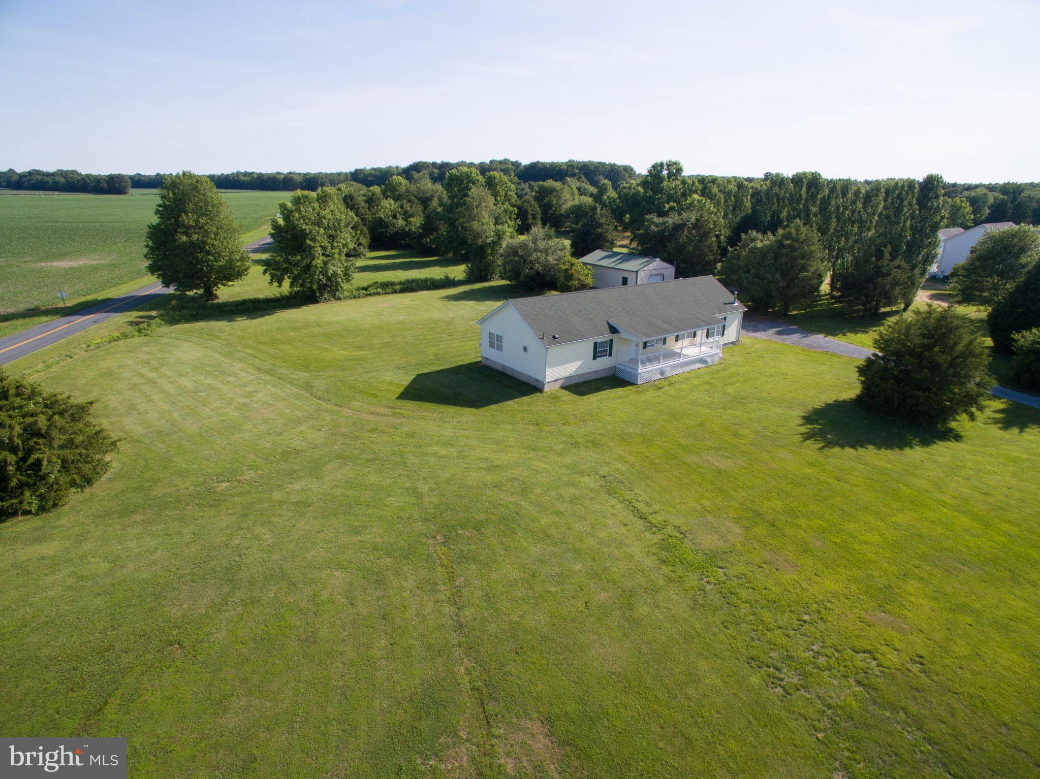 LUCKY SHOE RANCHETTES - Residential