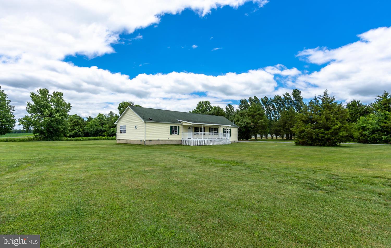 LUCKY SHOE RANCHETTES - Residential