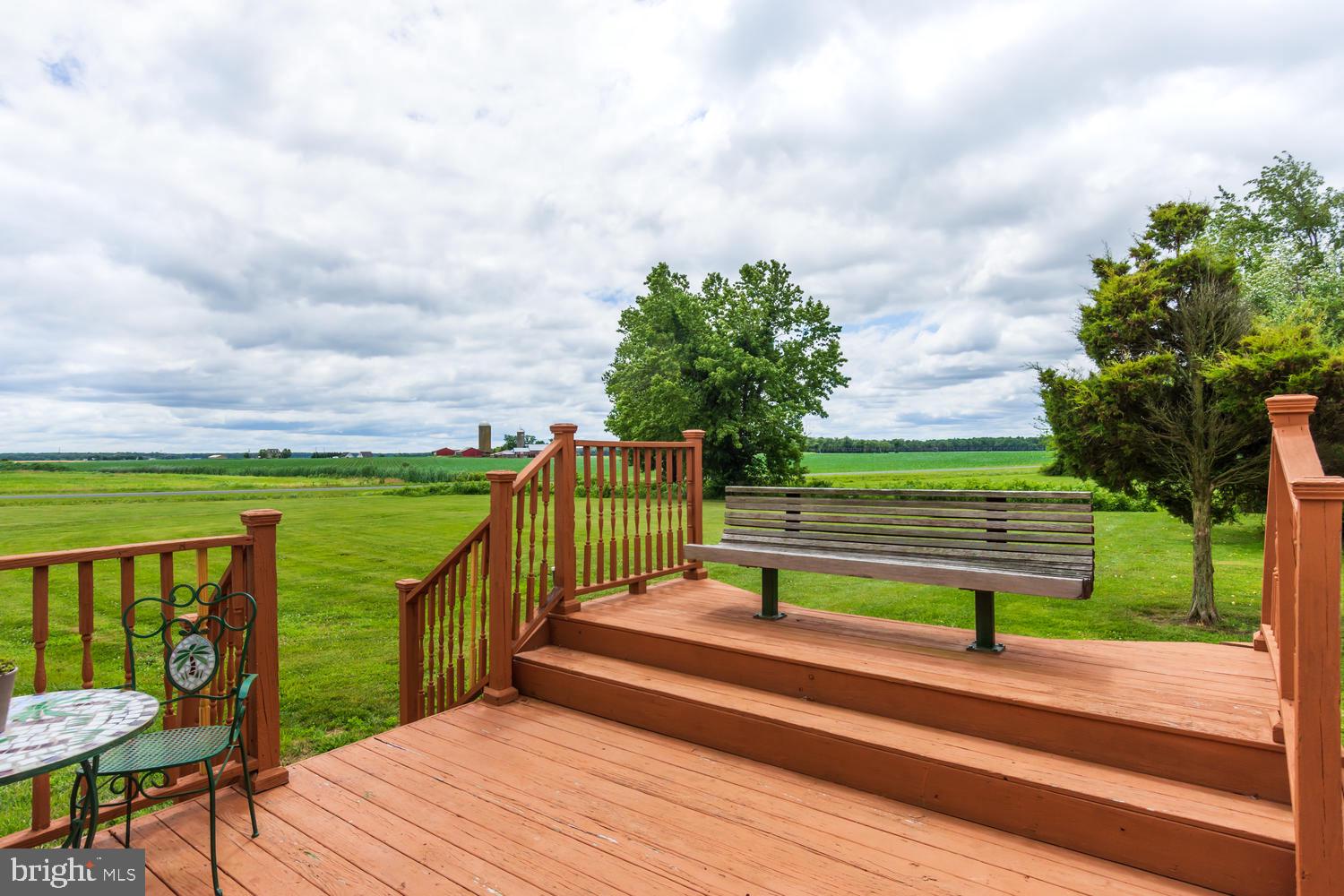 LUCKY SHOE RANCHETTES - Residential