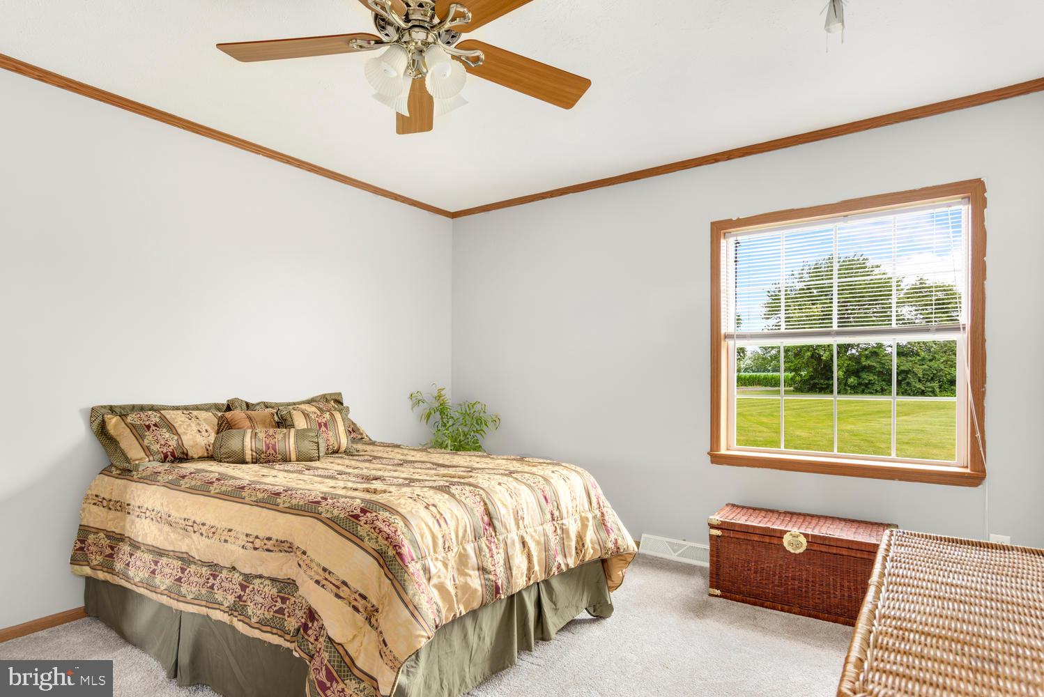 LUCKY SHOE RANCHETTES - Residential