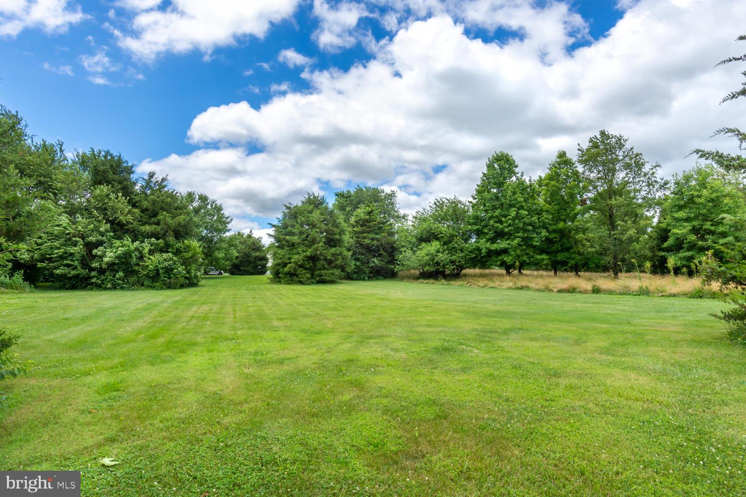 LUCKY SHOE RANCHETTES - Residential