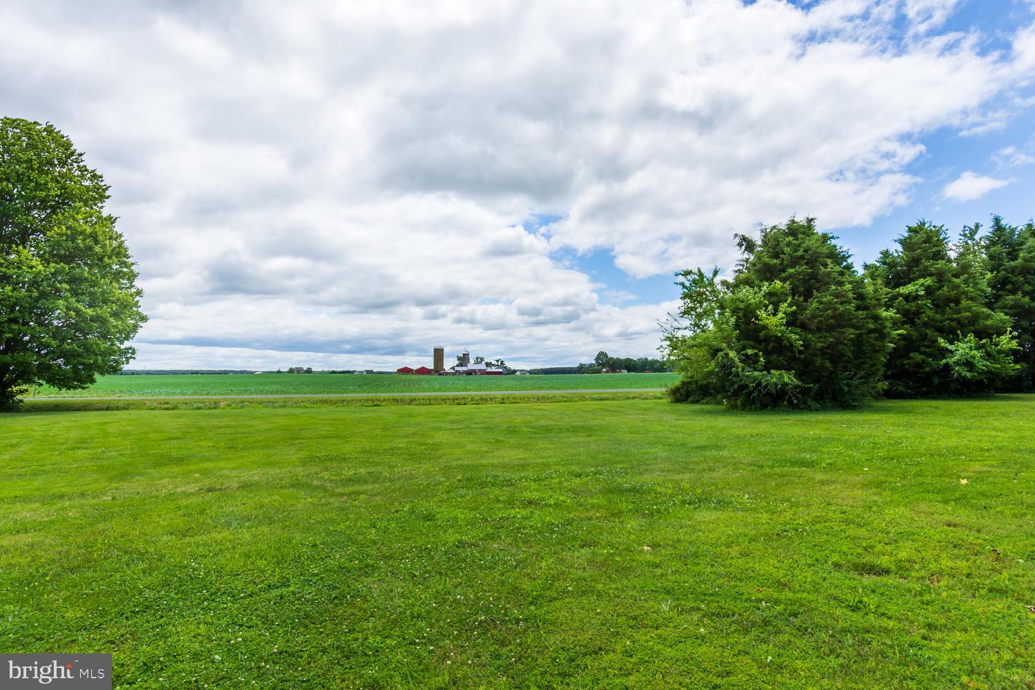 LUCKY SHOE RANCHETTES - Residential