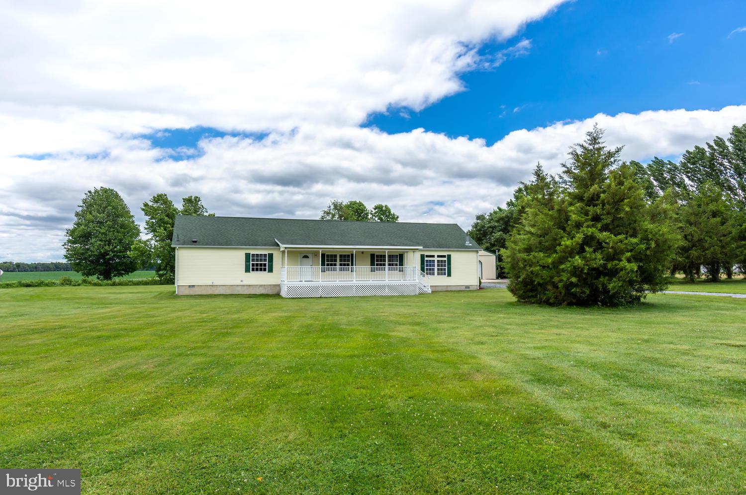 LUCKY SHOE RANCHETTES - Residential