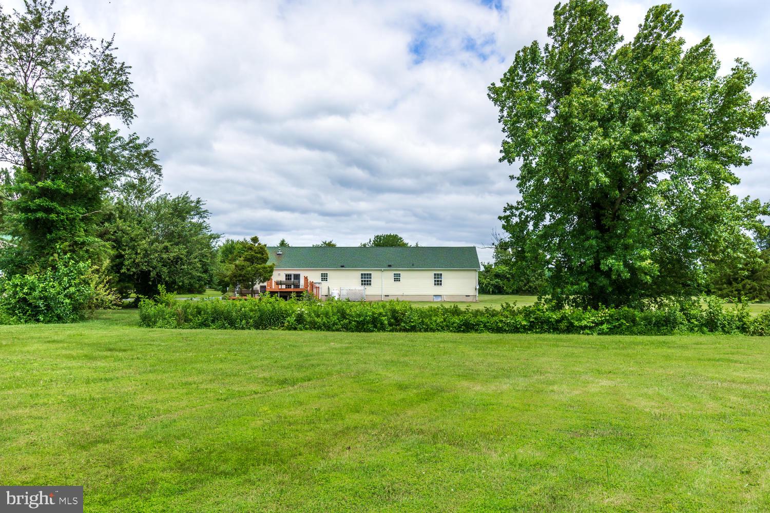 LUCKY SHOE RANCHETTES - Residential