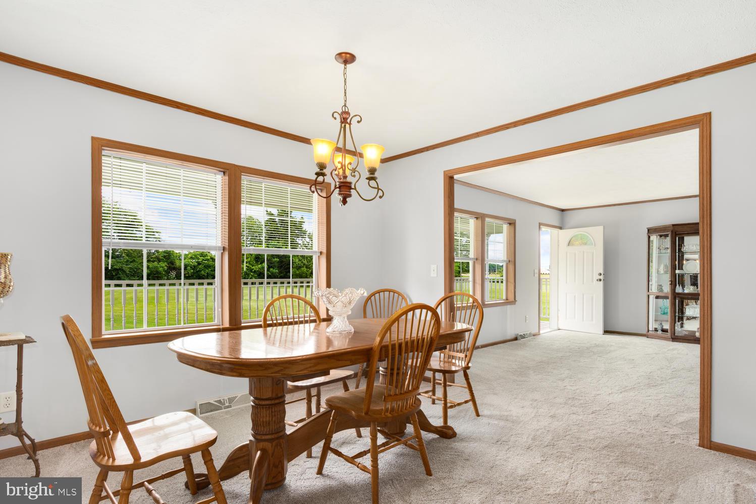 LUCKY SHOE RANCHETTES - Residential