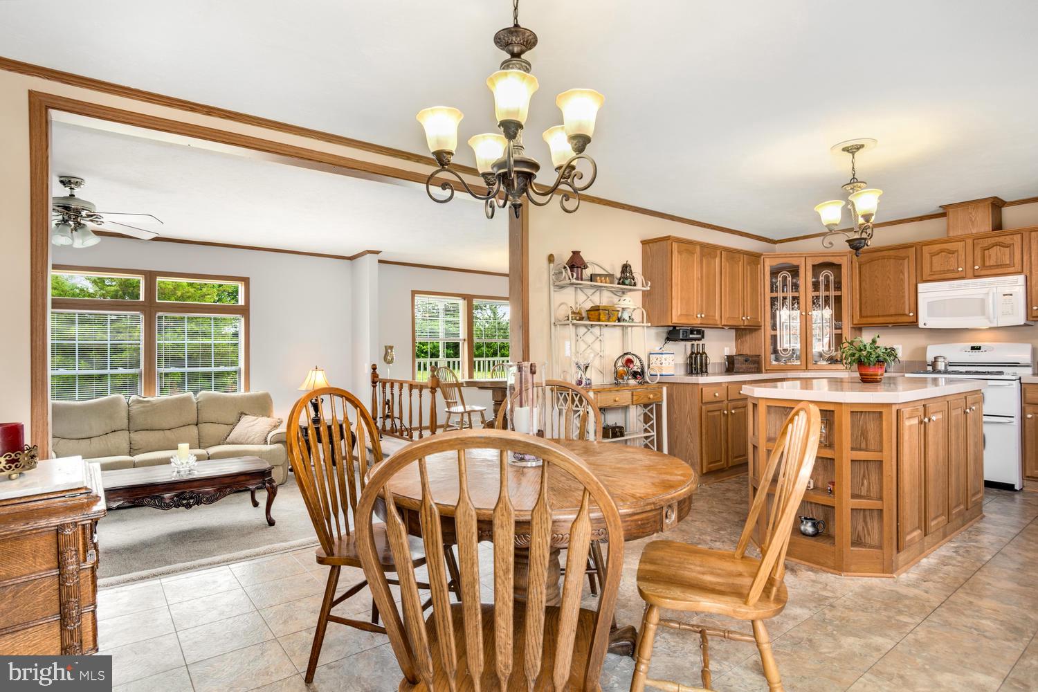 LUCKY SHOE RANCHETTES - Residential