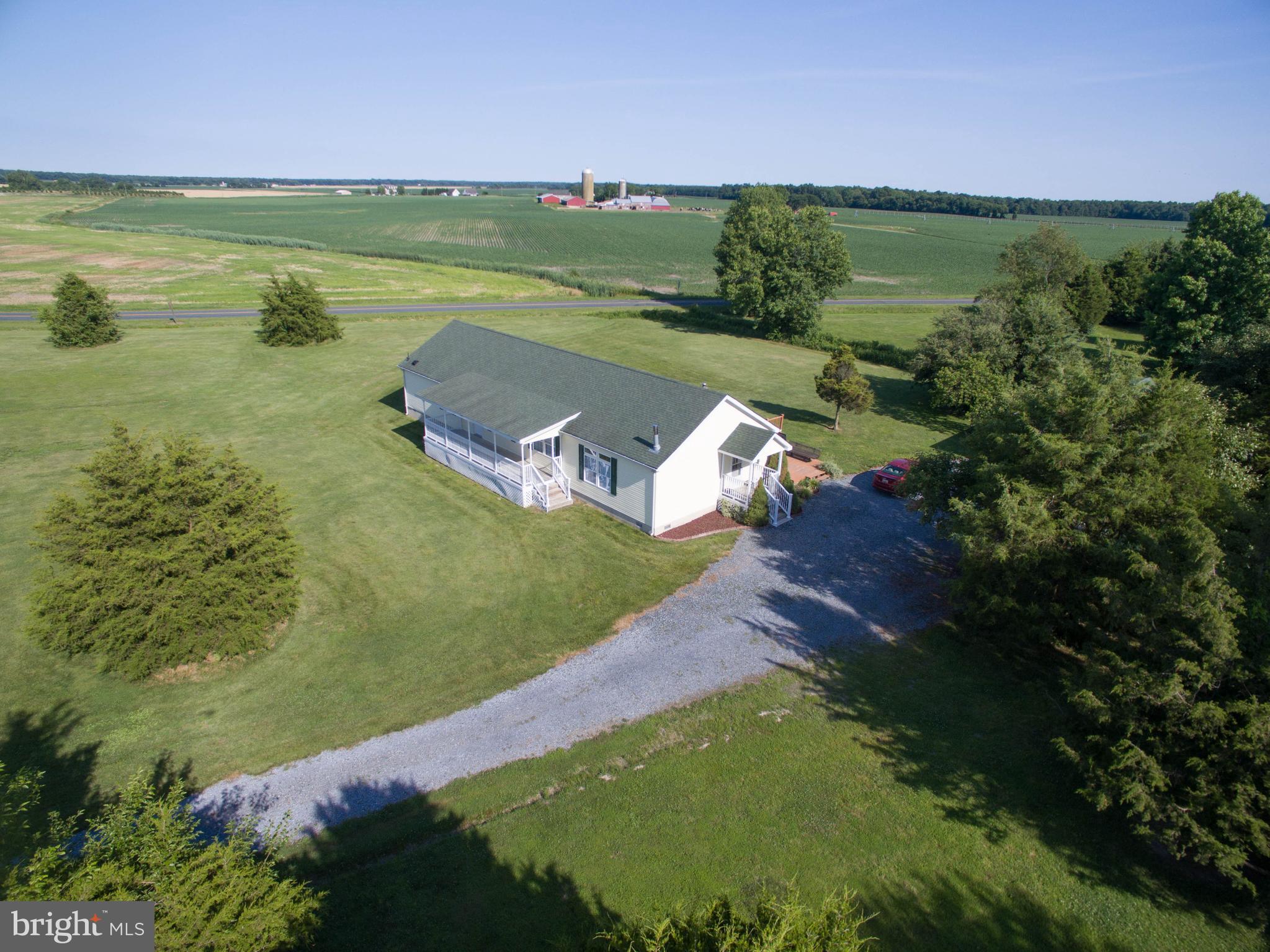 LUCKY SHOE RANCHETTES - Residential