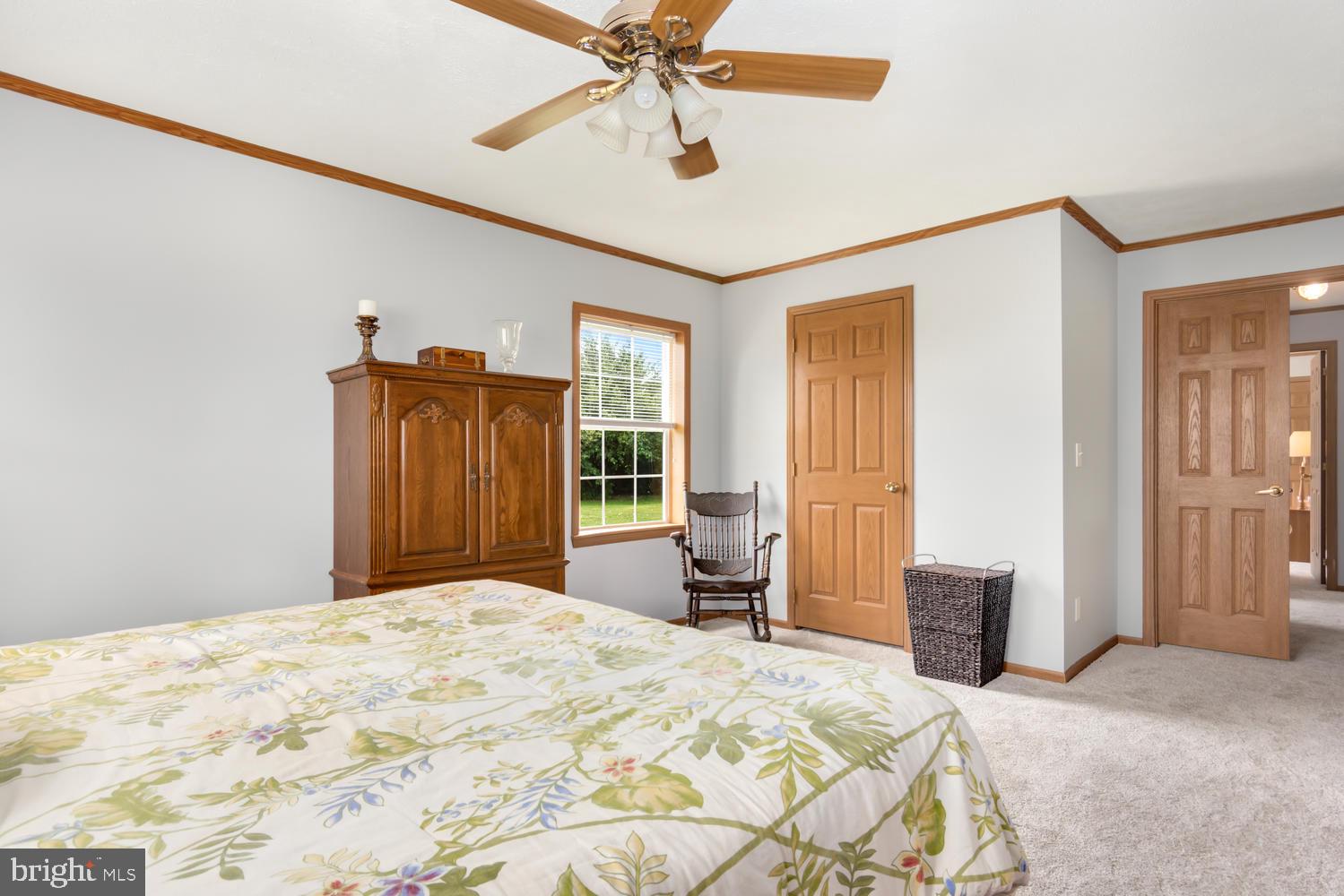 LUCKY SHOE RANCHETTES - Residential