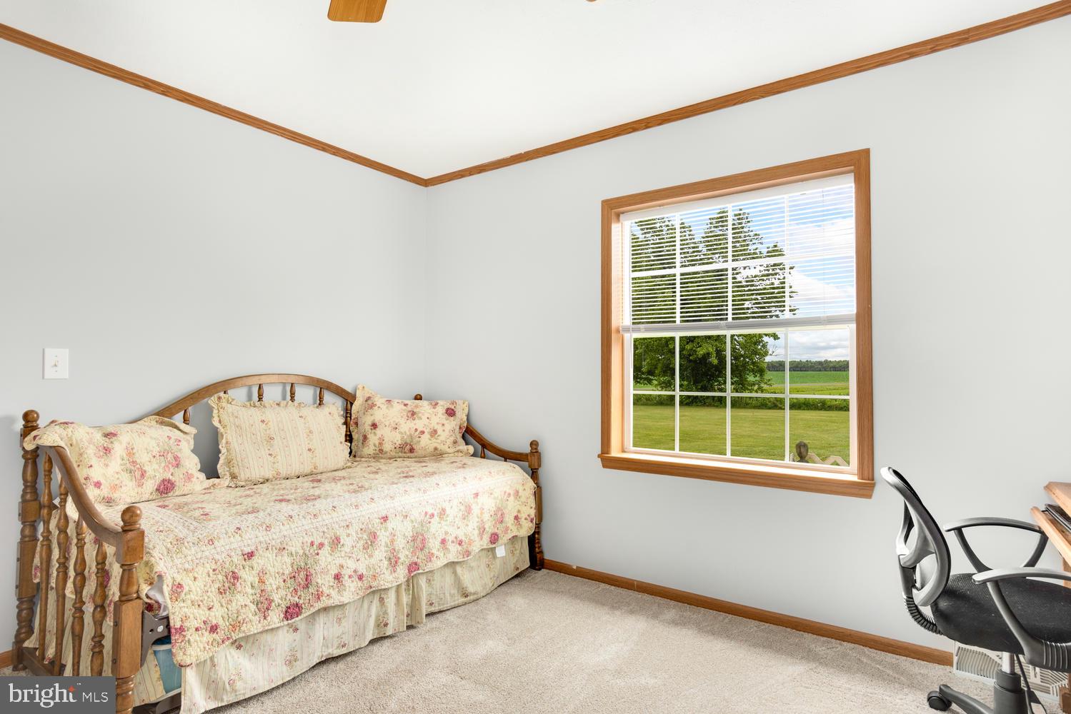 LUCKY SHOE RANCHETTES - Residential