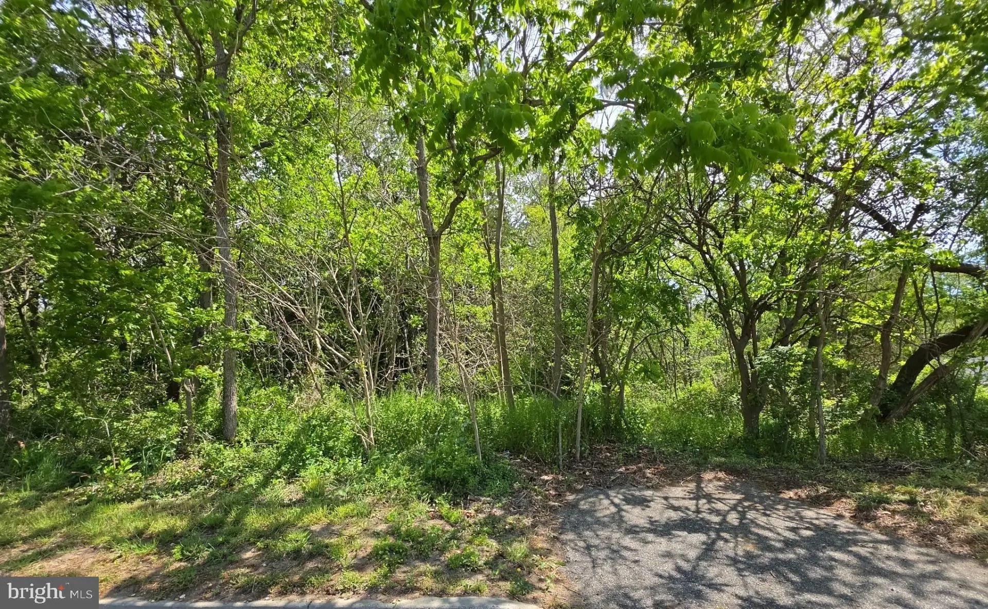 Additional image 10 of 18 Serata Drive, Bridgeton, NJ 08302