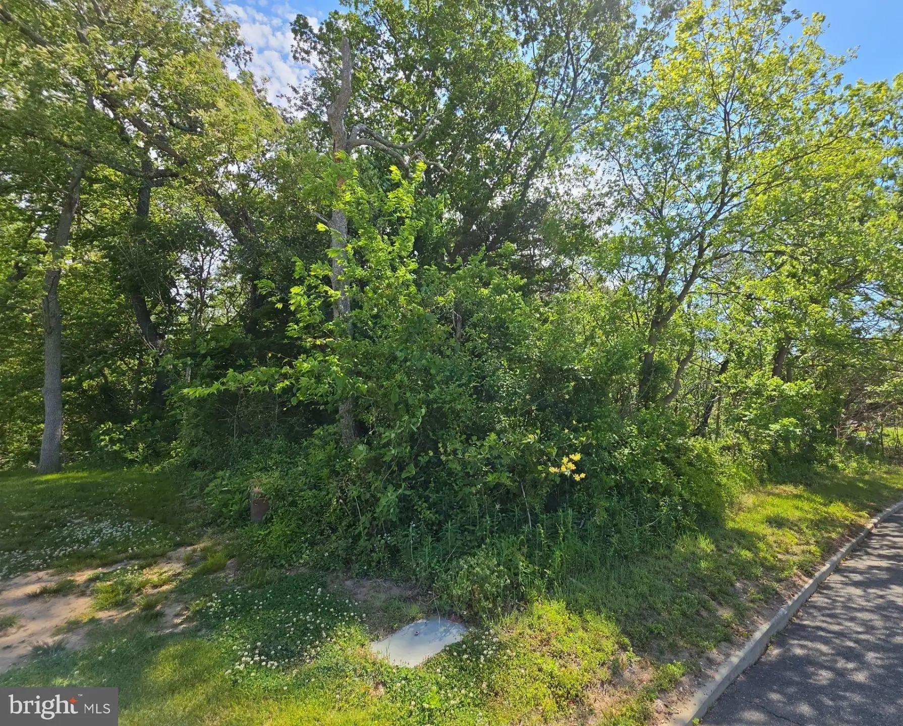 Additional image 11 of 18 Serata Drive, Bridgeton, NJ 08302