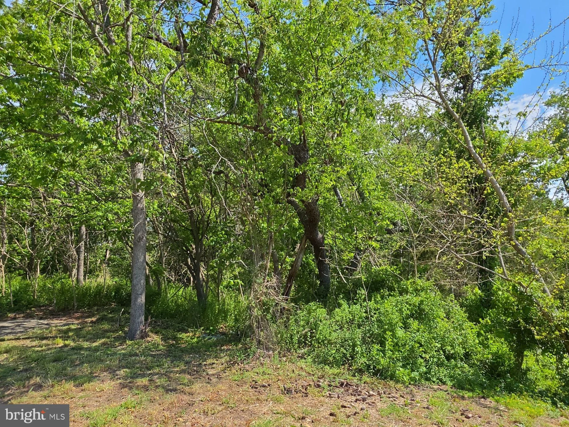 Additional image 14 of 18 Serata Drive, Bridgeton, NJ 08302