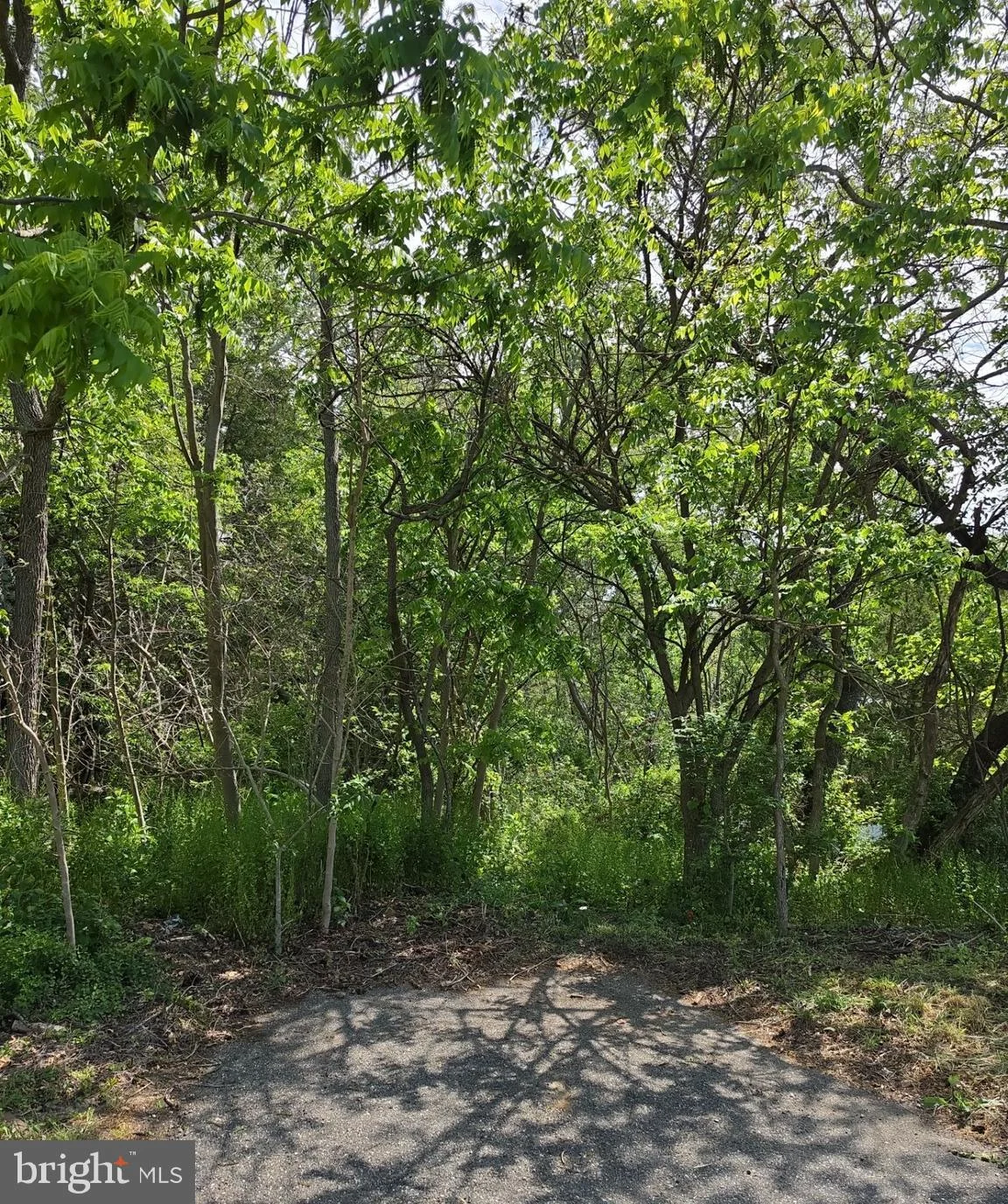 Additional image 9 of 18 Serata Drive, Bridgeton, NJ 08302