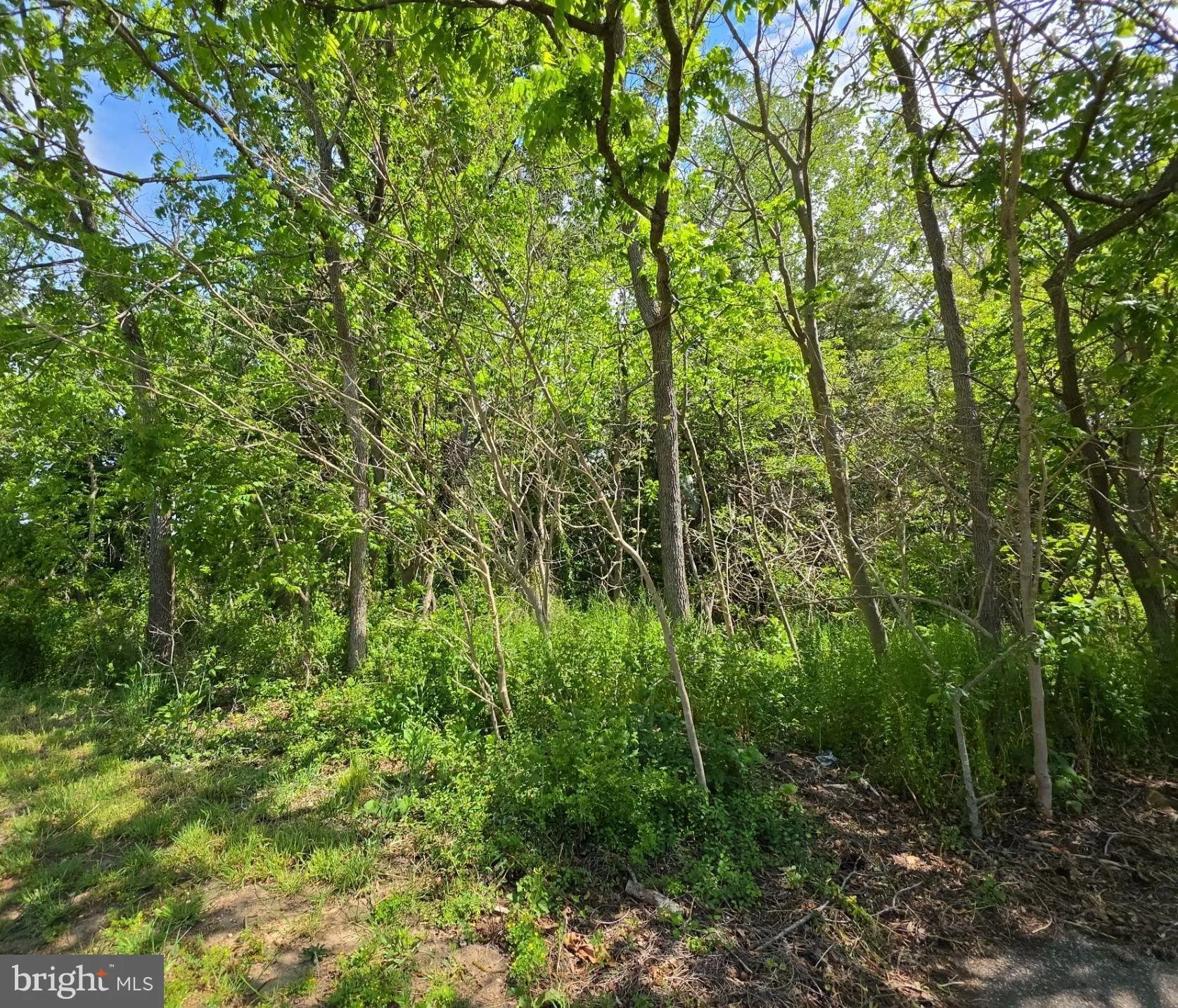 Additional image 13 of 18 Serata Drive, Bridgeton, NJ 08302
