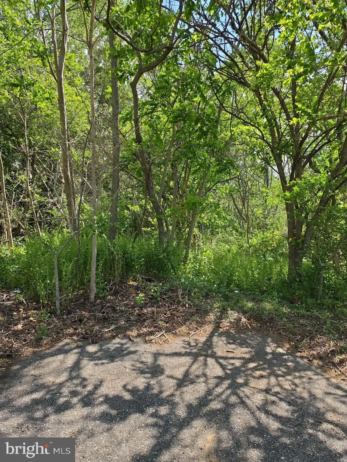 Additional image 12 of 18 Serata Drive, Bridgeton, NJ 08302