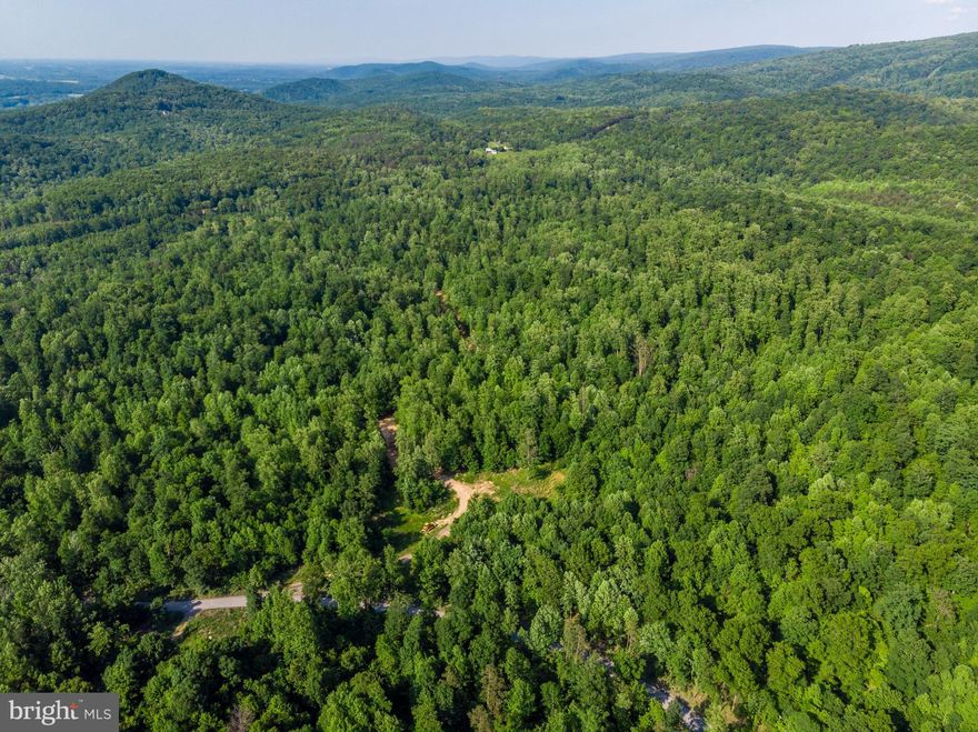 LOT 2F. Peaceful wooded estate property with potential for limited mountain views with some clearing.  Conveniently located near Shenandoah River, Front Royal & Rt50/I-66 commuter routes.  Quiet stream runs through the lot. Direct access off Venus Branch Rd. Division potential in the future. No covenant restrictions or HOA! Bring your house plans .  Adjoining lots for sale.