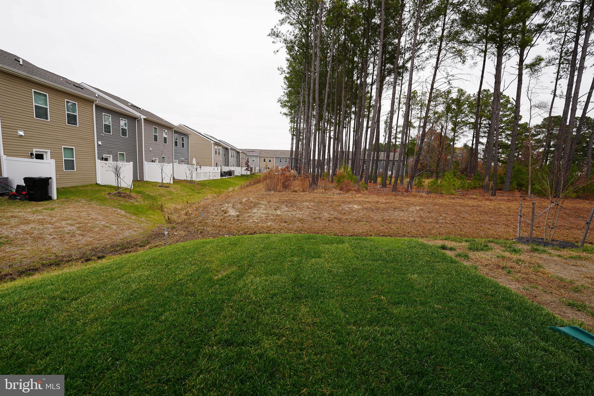 SASSAFRAS MEADOWS - Residential Lease