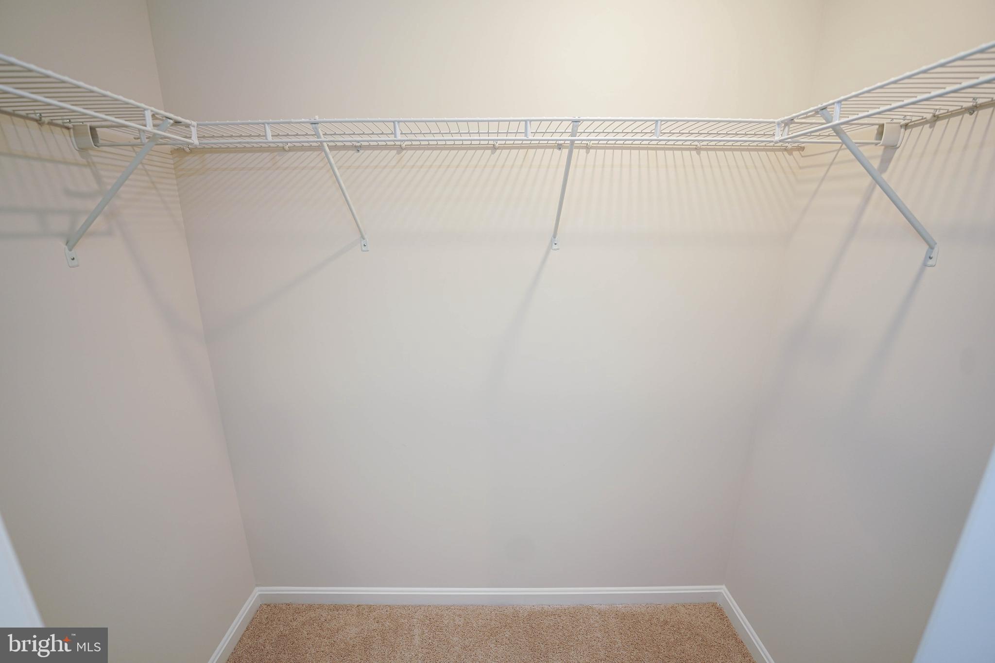 SASSAFRAS MEADOWS - Residential Lease