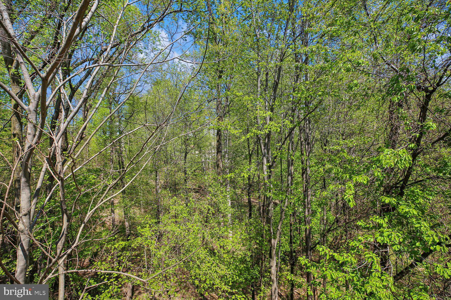 SWEEPSTAKES - Residential