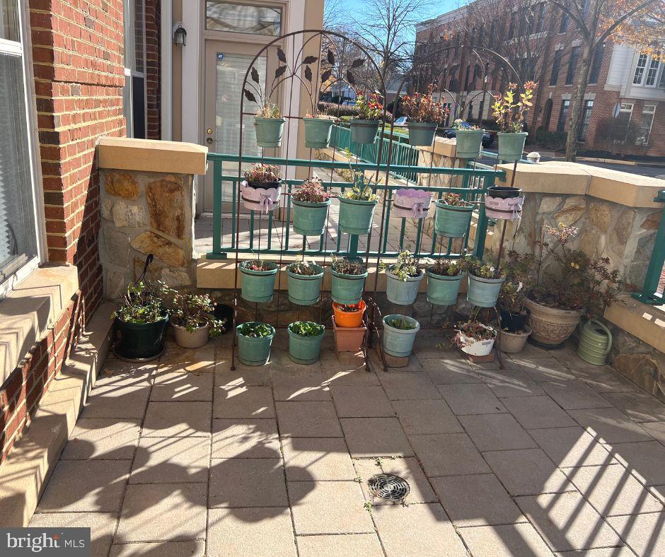 BELMONT BAY - Residential Lease