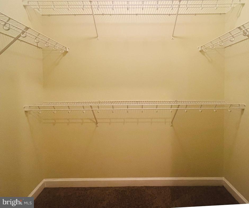 BELMONT BAY - Residential Lease