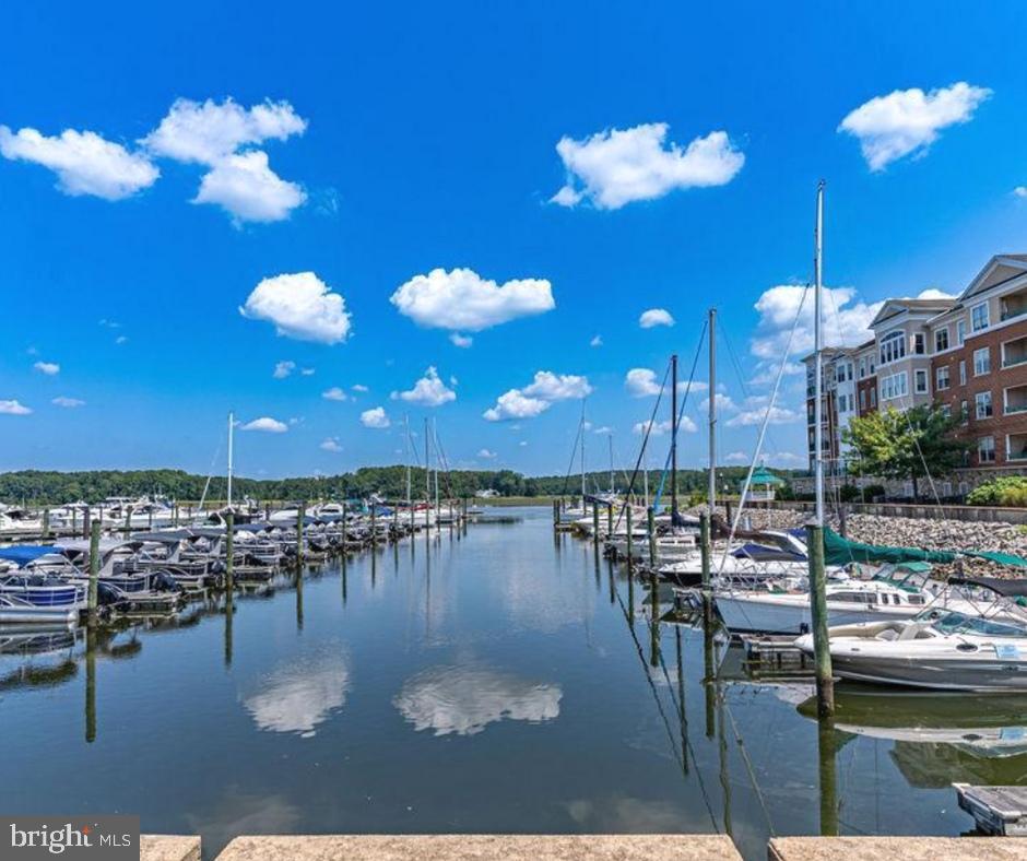 BELMONT BAY - Residential Lease