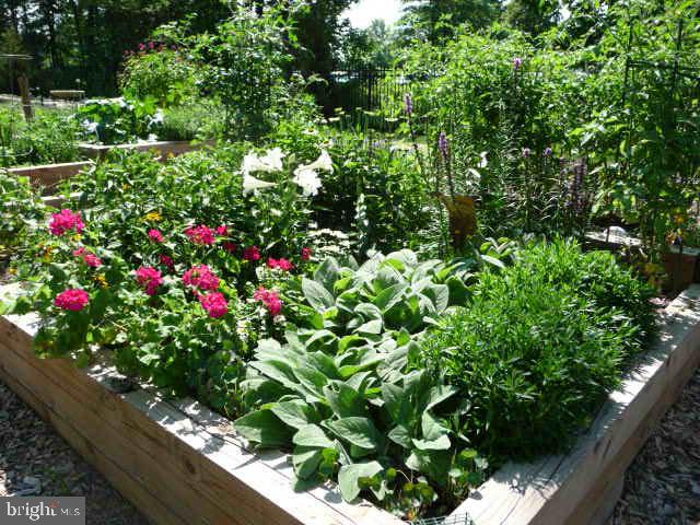 LANSDOWNE WOODS - Residential