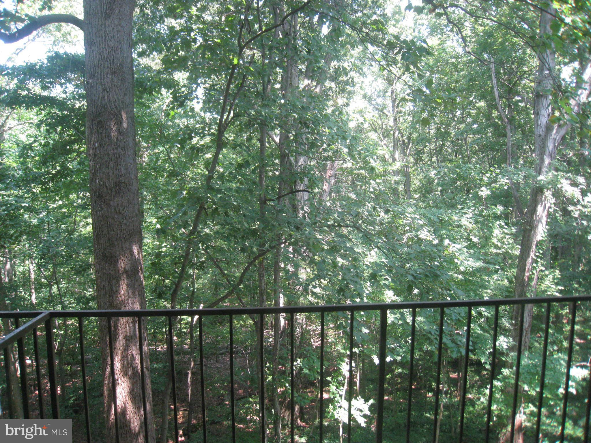 PARK SPRING - Residential Lease