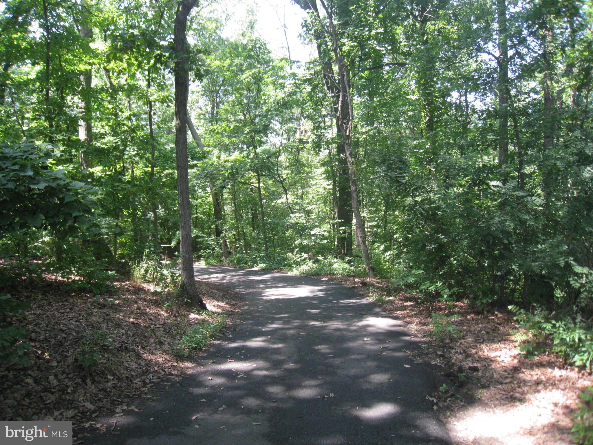 PARK SPRING - Residential Lease