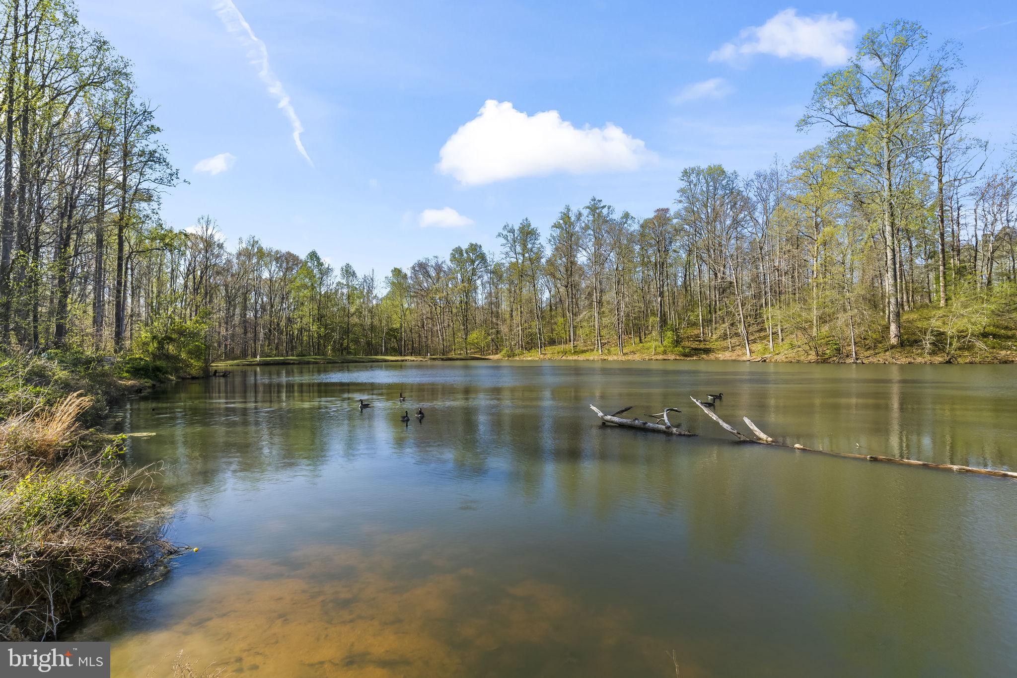 TWIN PONDS - Residential