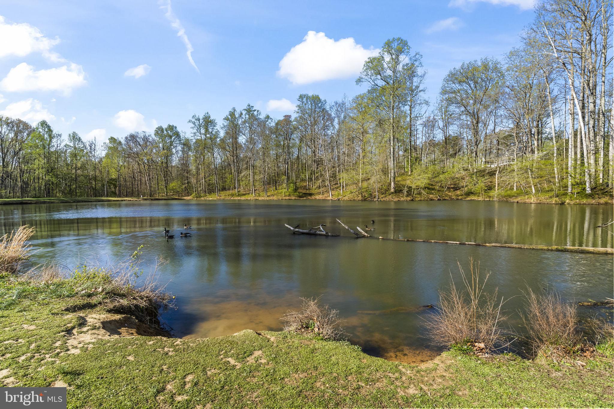 TWIN PONDS - Residential