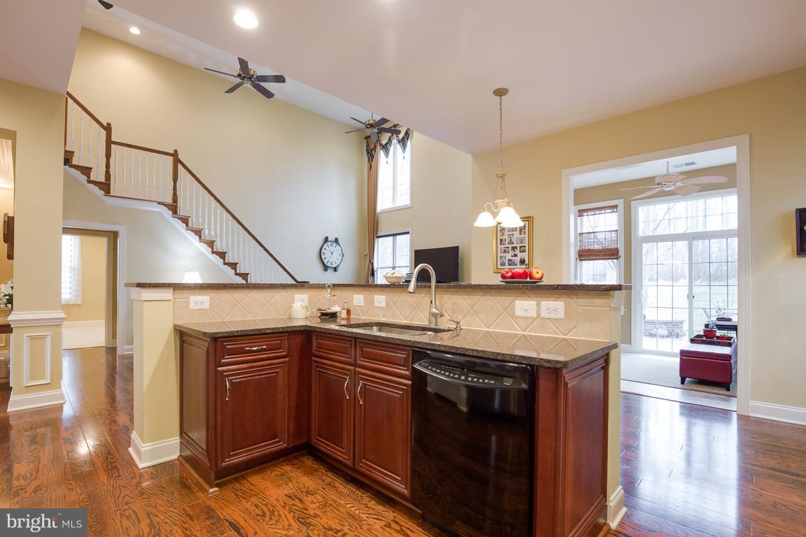 REGENCY AT DOMINION VALLEY - Residential