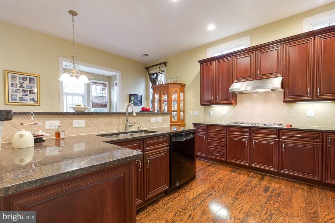 REGENCY AT DOMINION VALLEY - Residential