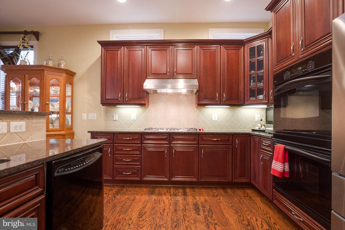 REGENCY AT DOMINION VALLEY - Residential