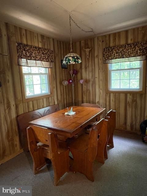 Tiny photo for 186 Little Wolf Road, SNOW SHOE, PA 16874 (MLS # PACE2517580)