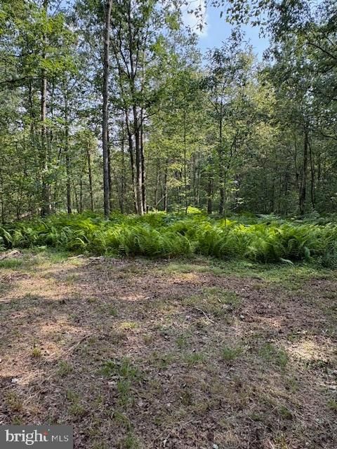 Tiny photo for 186 Little Wolf Road, SNOW SHOE, PA 16874 (MLS # PACE2517580)