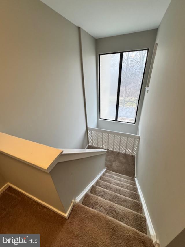 LYNETREE - Residential Lease